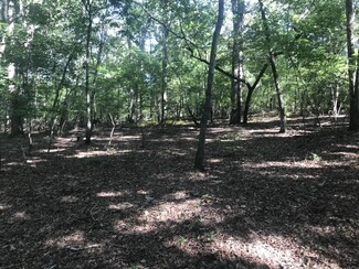 Irmo, SC Residential Land - 1424 Shady Grove Rd