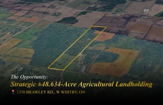 Ashburn, ON Commercial - 1370 Brawley W rd Ashburn, ON Commercial - 1370 Brawley W rd
