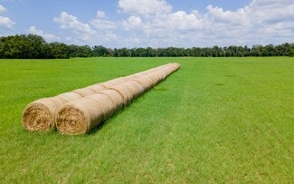 Mcalpin, FL Agricultural - 165th Rd
