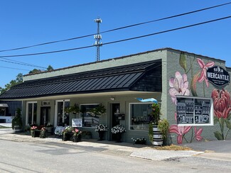 Hendersonville, NC Retail - 730 Locust St