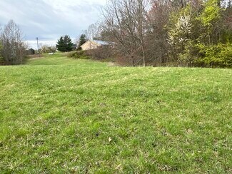 Mills River, NC Commercial Land - 00 Marlowe Drive