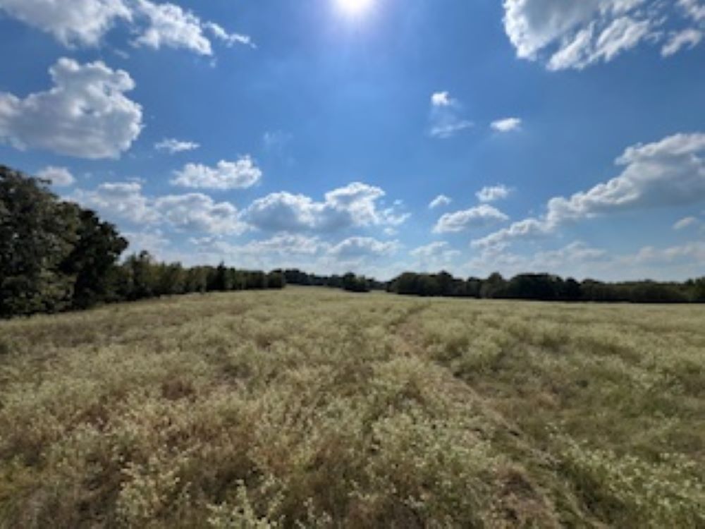 21805 U.S. HWY 69S hwy, Bullard, TX for Sale