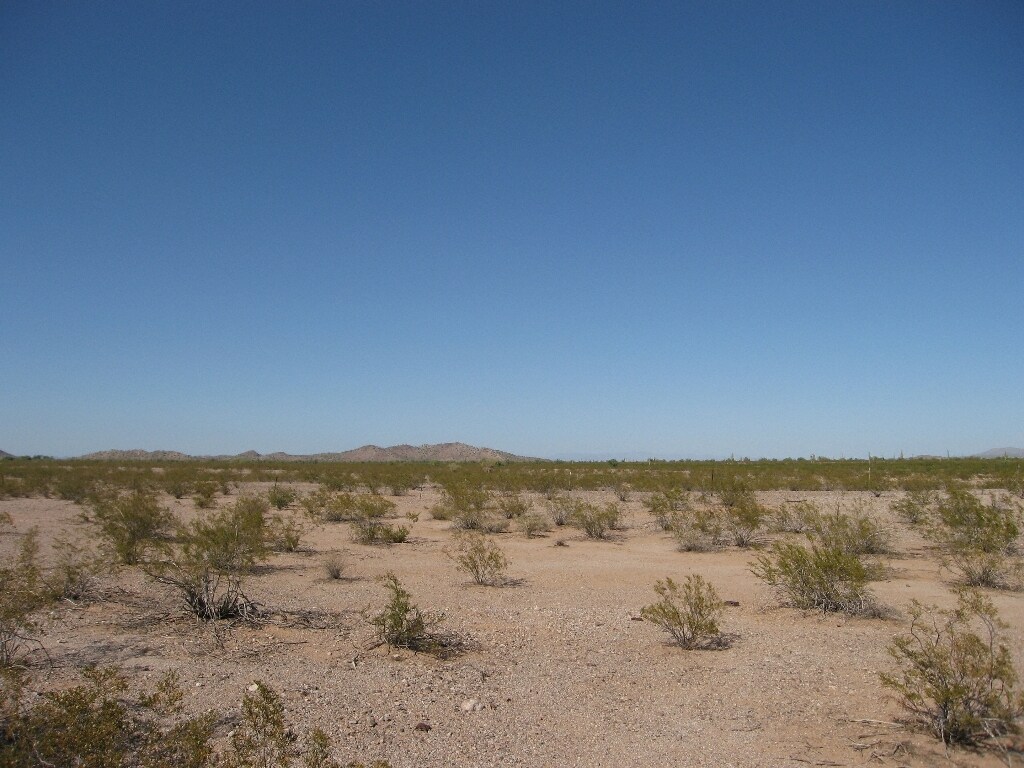 355th & Indian School Rd, Tonopah, AZ for Sale