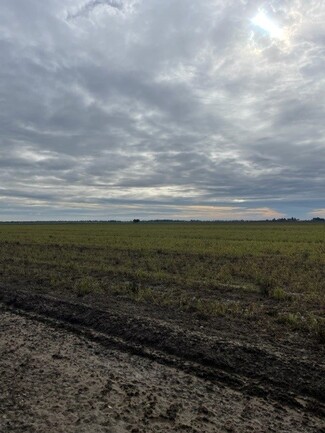 Davis, CA Agricultural - COUNTY RD. 98
