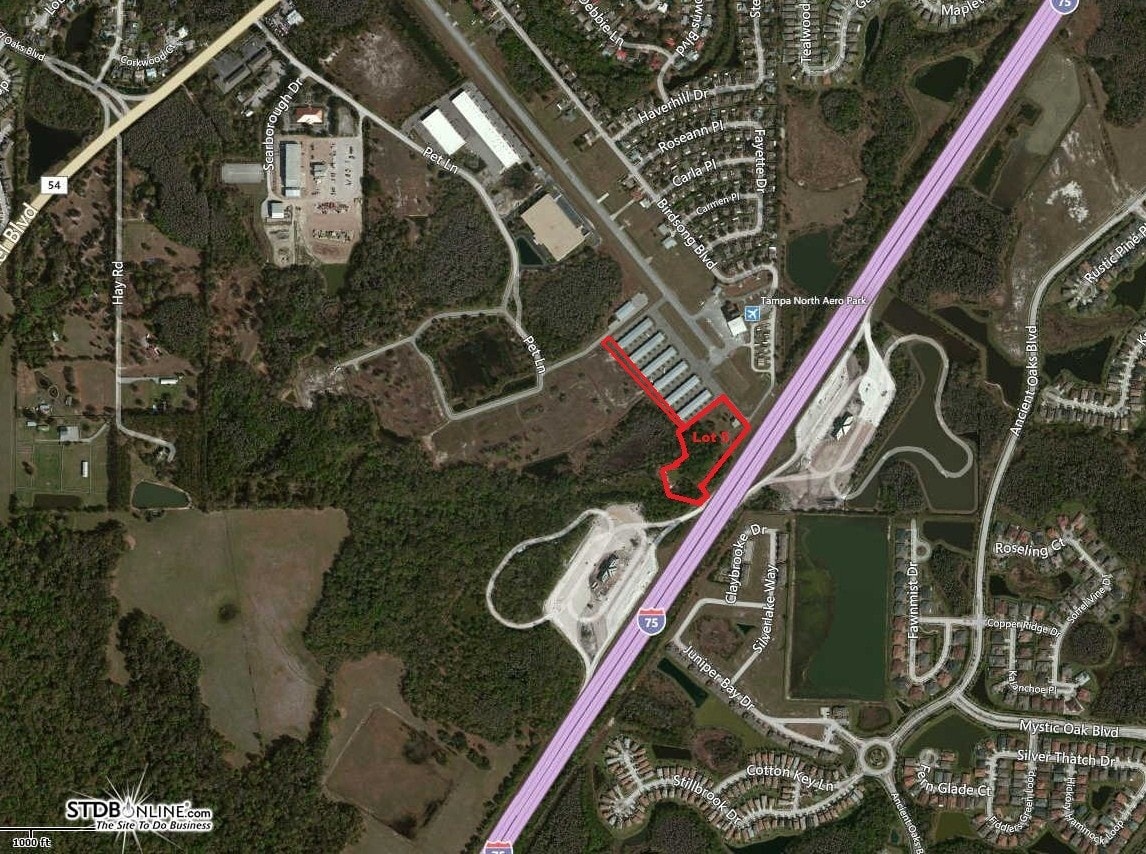 4212 Cypress Gulch Dr, Wesley Chapel, FL for Sale