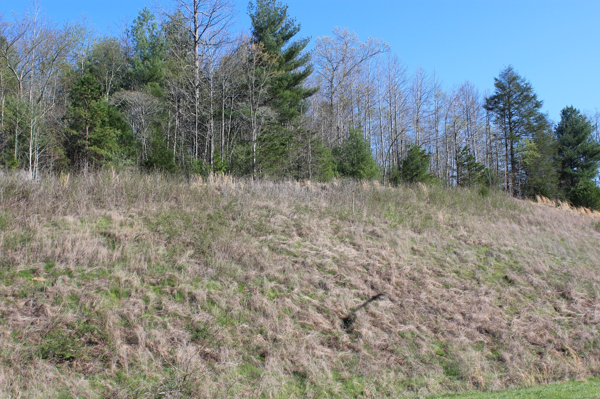 Hickory Blvd & McClean Dr, Lenoir, NC for Sale