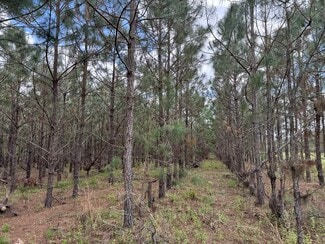 Live Oak, FL Agricultural - 15941 120th St