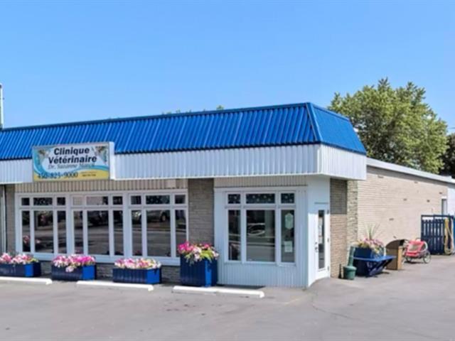 20 Rue Mill, Howick, QC for Sale