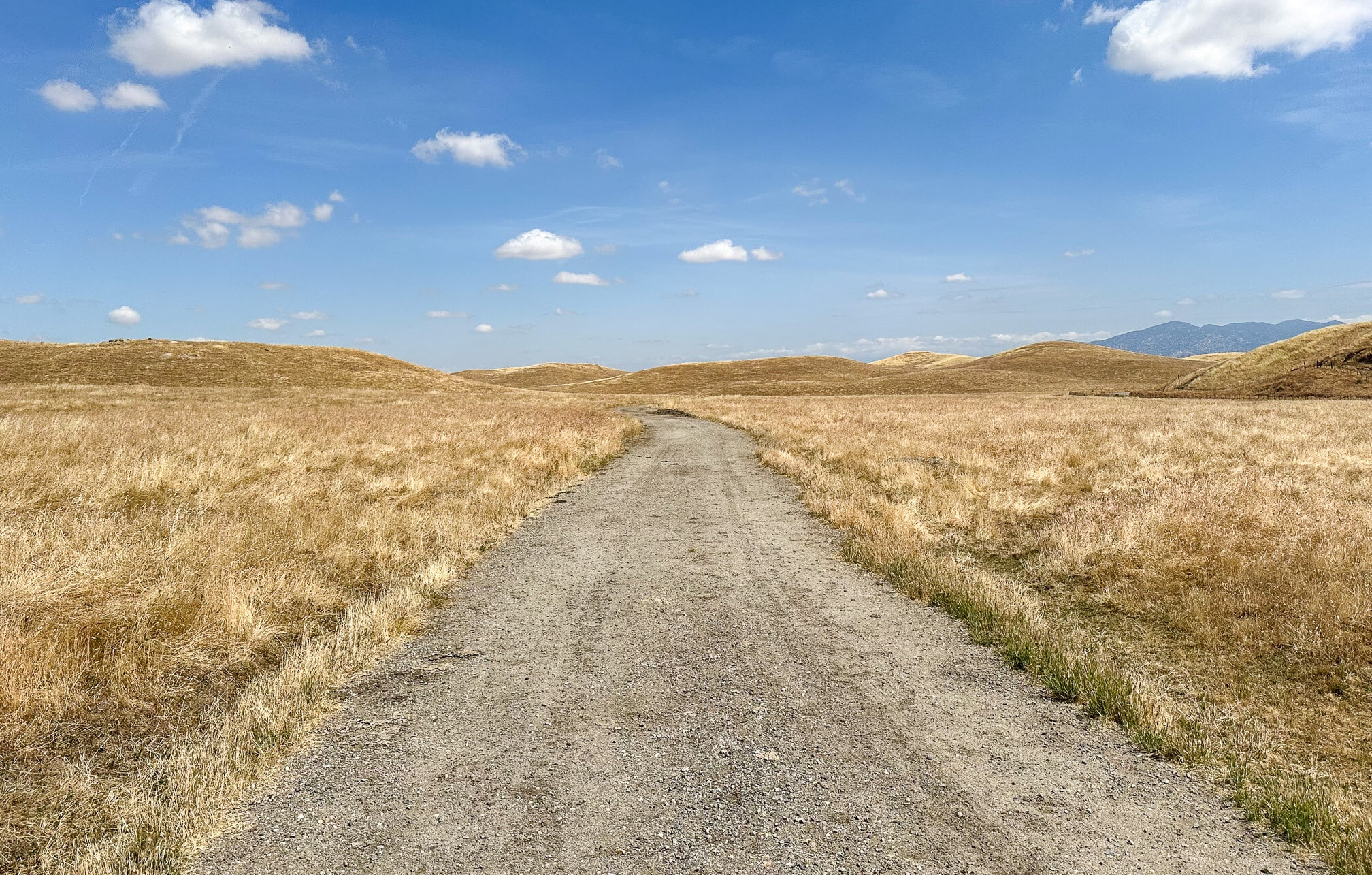 Famoso-Woody Rd, Mc Farland, CA for Sale