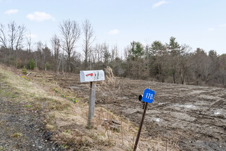 Nineveh, NY Residential Land - 170 Perch Pond Rd