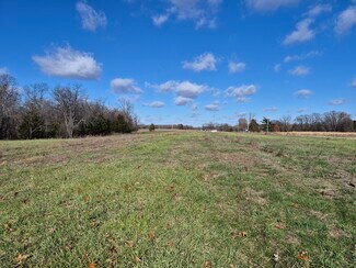 New Florence, MO Agricultural - Logan School Rd. (30.2+/- Acres)