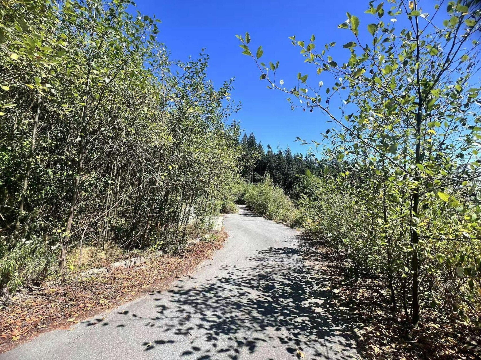 4140 Cypress Bowl Rd, West Vancouver, BC for Sale