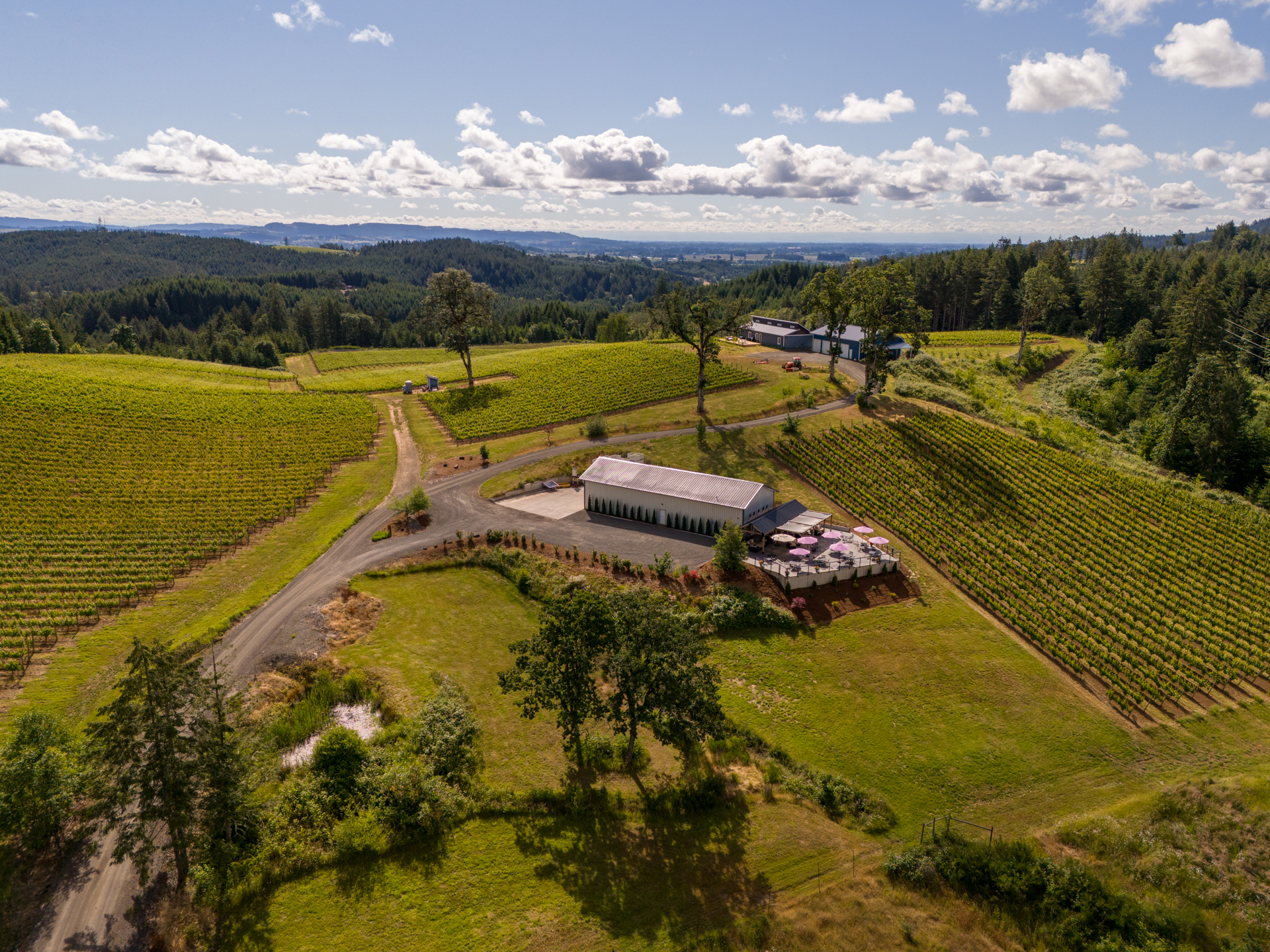 12000 NW Old Wagon Rd, Carlton, OR for Sale