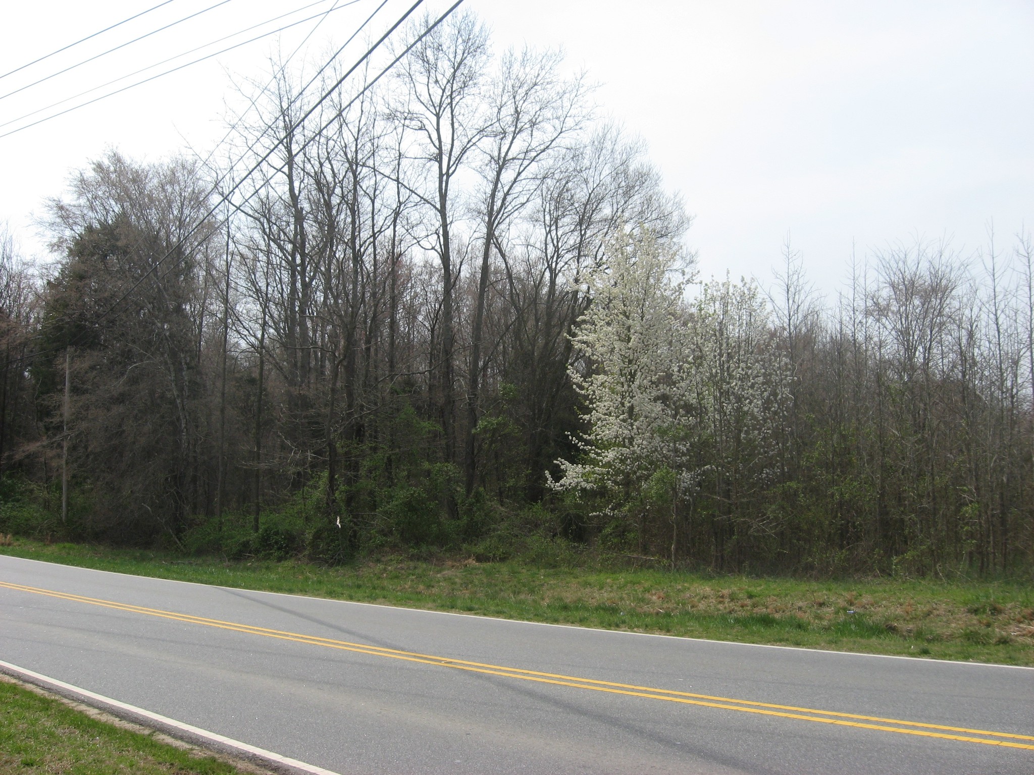 Secrest Shortcut Rd, Indian Trail, NC for Sale