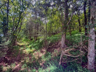 Chuckey, TN Residential - 910 Old Fort Ln