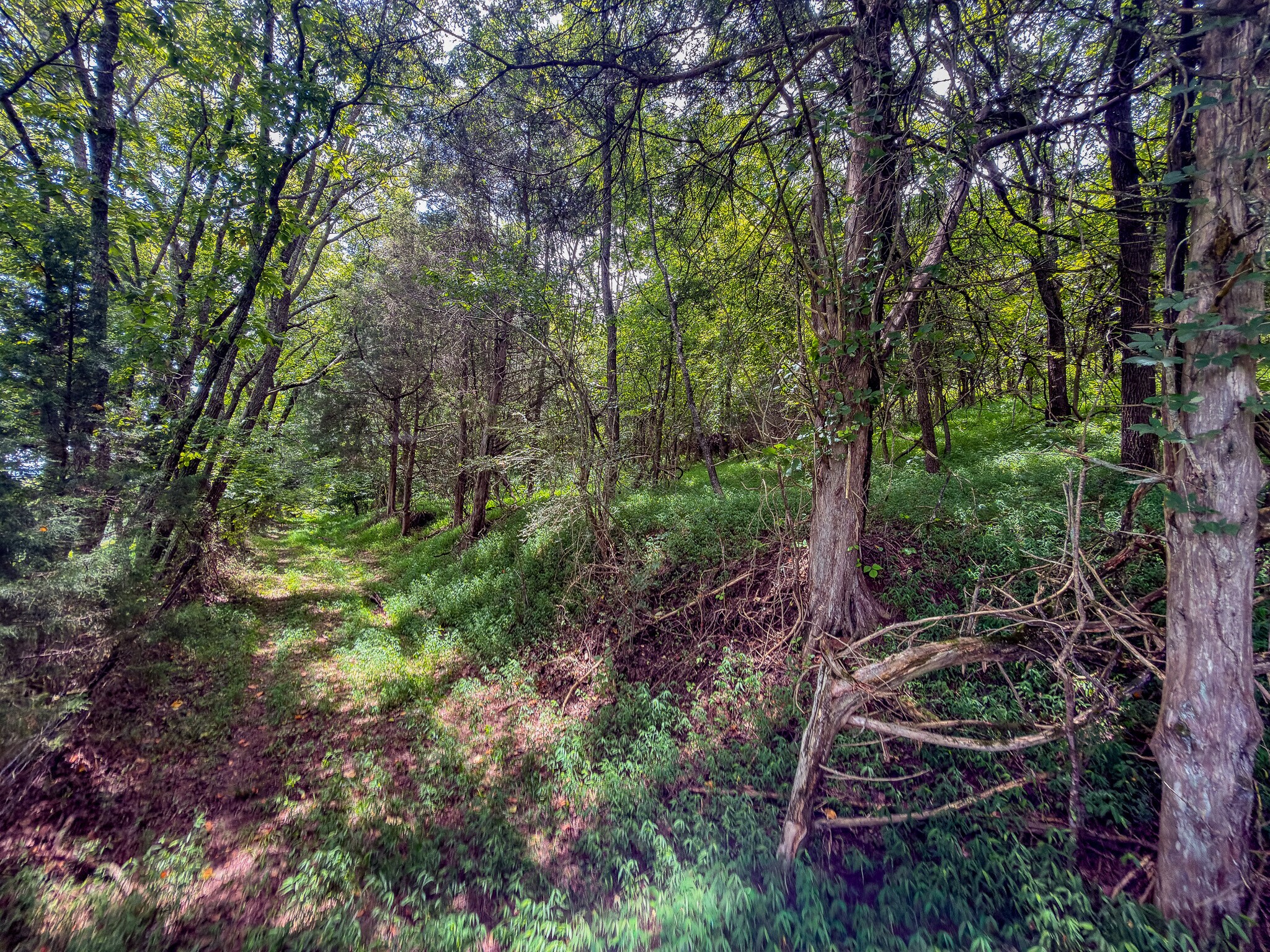 910 Old Fort Ln, Chuckey, TN for Sale
