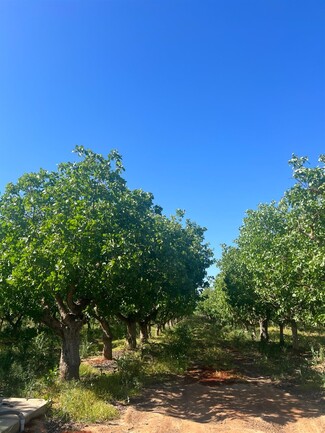 Madera, CA Agricultural - 1 Road 36