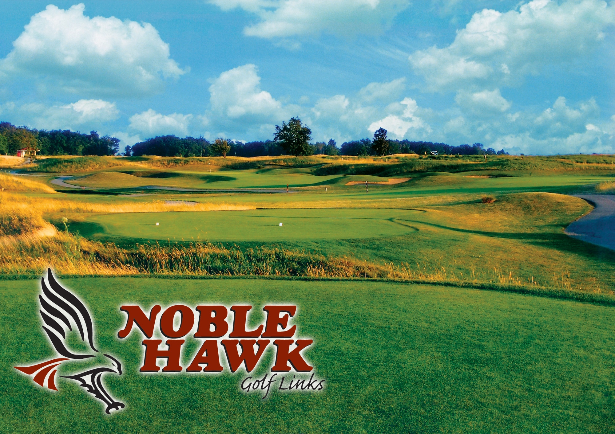 3005 Noble Hawk Dr, Kendallville, IN for Sale