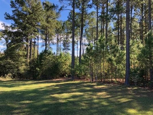 W Lakeshore Dr, Cochran, GA for Sale