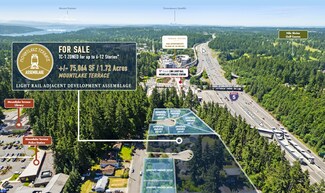 Mountlake Terrace Assemblage