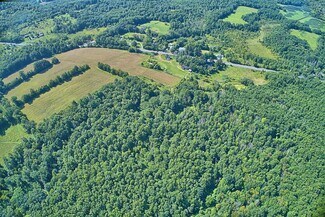 Bloomingburg, NY Commercial Land - 450 NY-17K