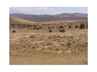 320 Highway 341, Carson City, NV for Sale