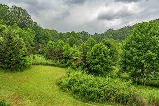 Roan Mountain, TN Residential - 306 Bear Branch rd
