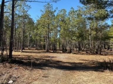 North Fraser St, Georgetown, SC for Sale