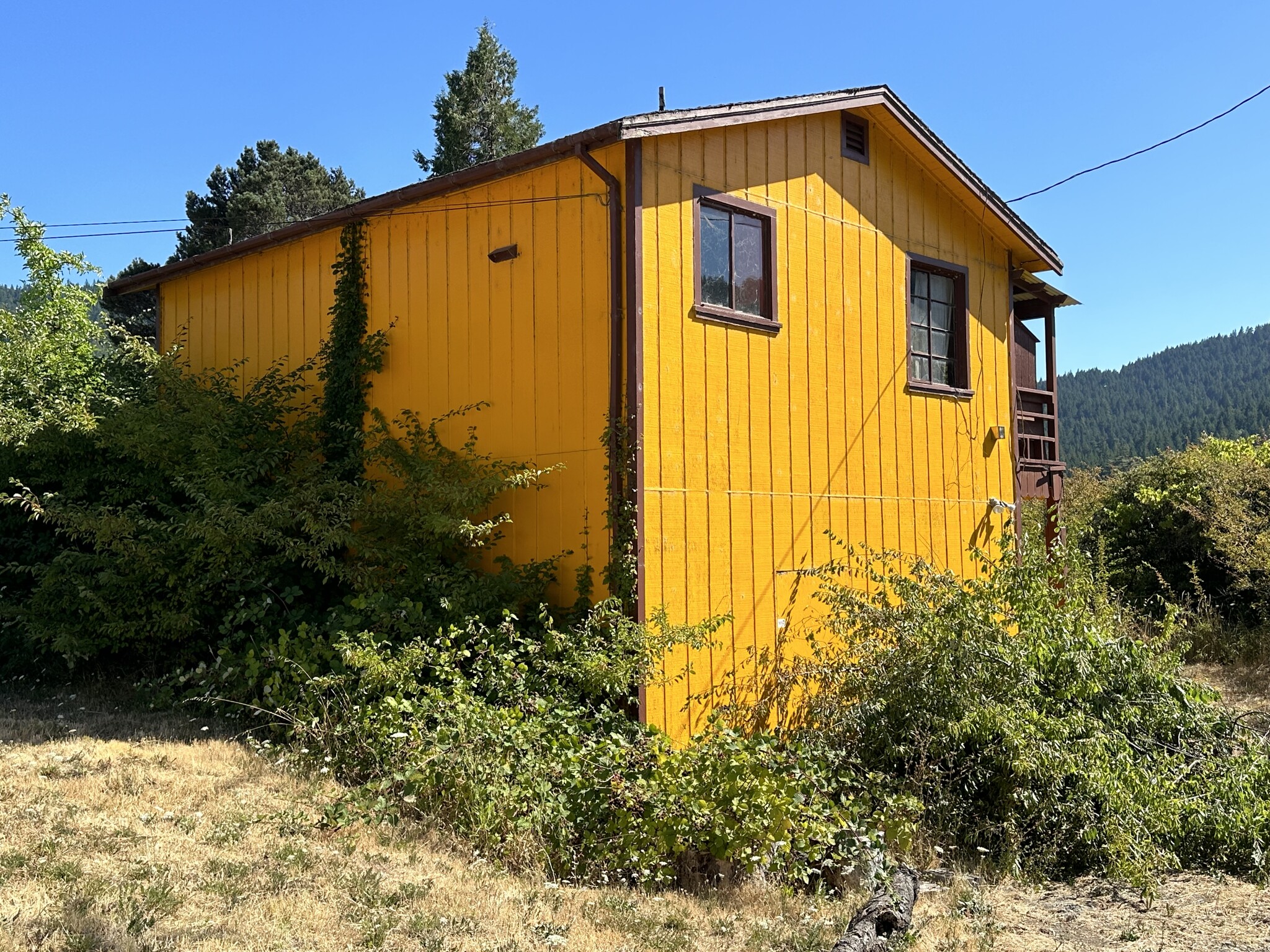 12972 Avenue of the Giants St, Myers Flat, CA for Sale