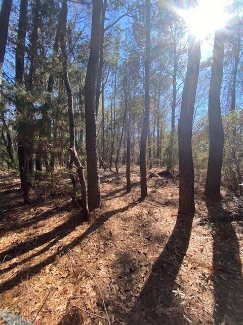 0 River Rd, Johns Island, SC for Sale