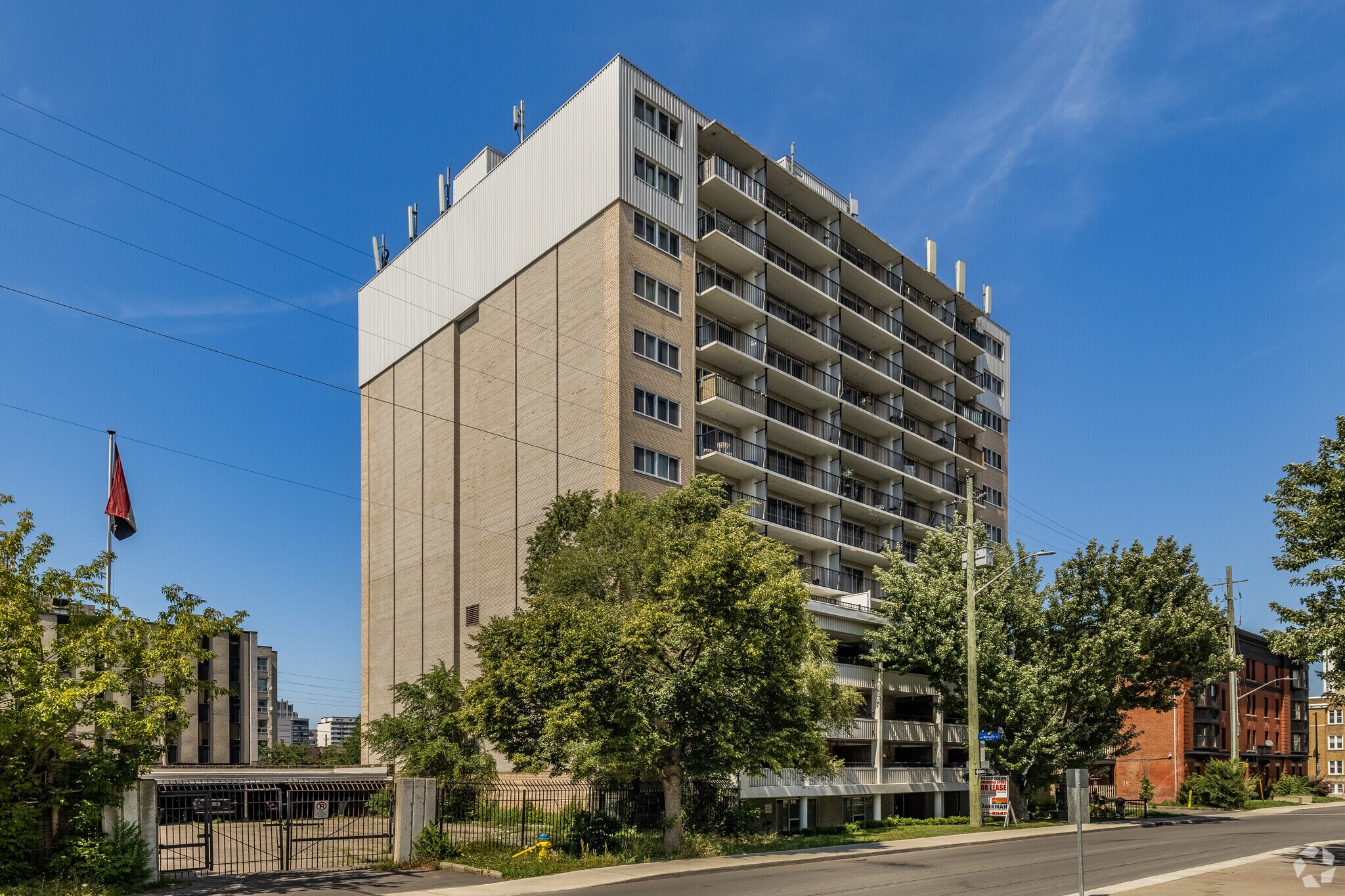 201 Mcleod St, Ottawa, ON for Rent