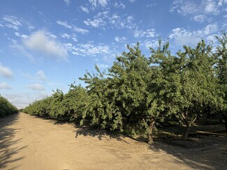 Patterson, CA Agricultural Land - 1660 Fruit Ave. Fruit Ave