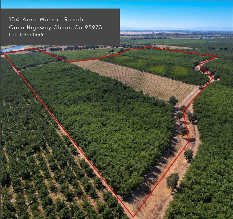 134 Acre Walnut Ranch Cana Highway Chico, CA 95973 Land Property for