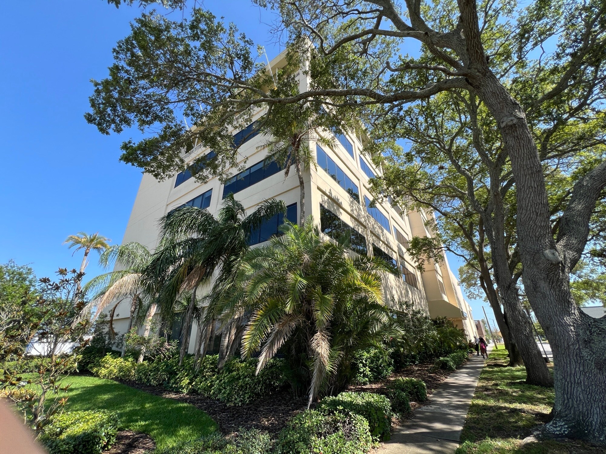 1255 Cleveland St, Clearwater, FL for Rent