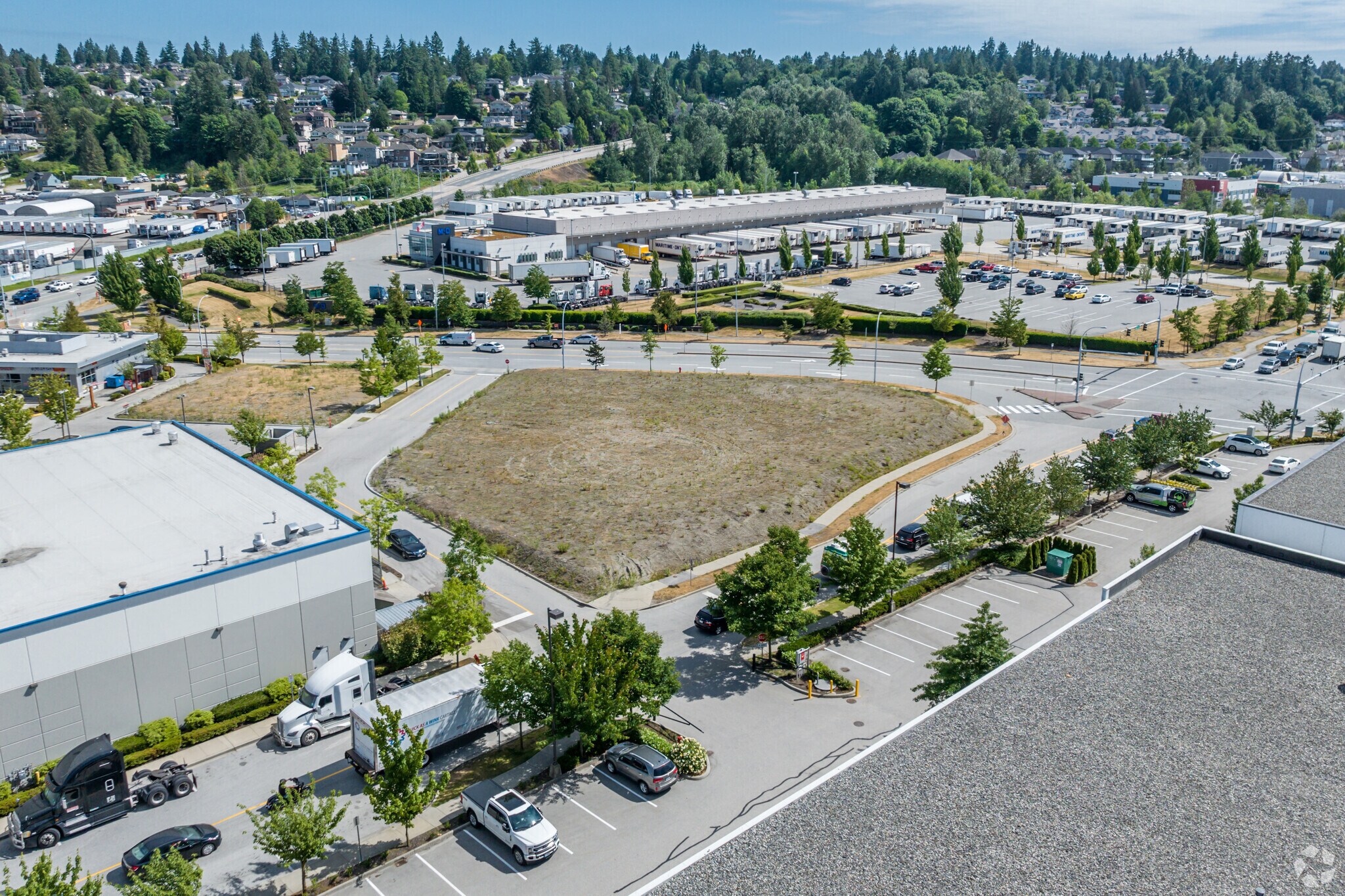 11959 103A Av, Surrey, BC for Rent