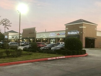 Houston, TX Retail - 13176 W Lake Houston Pky