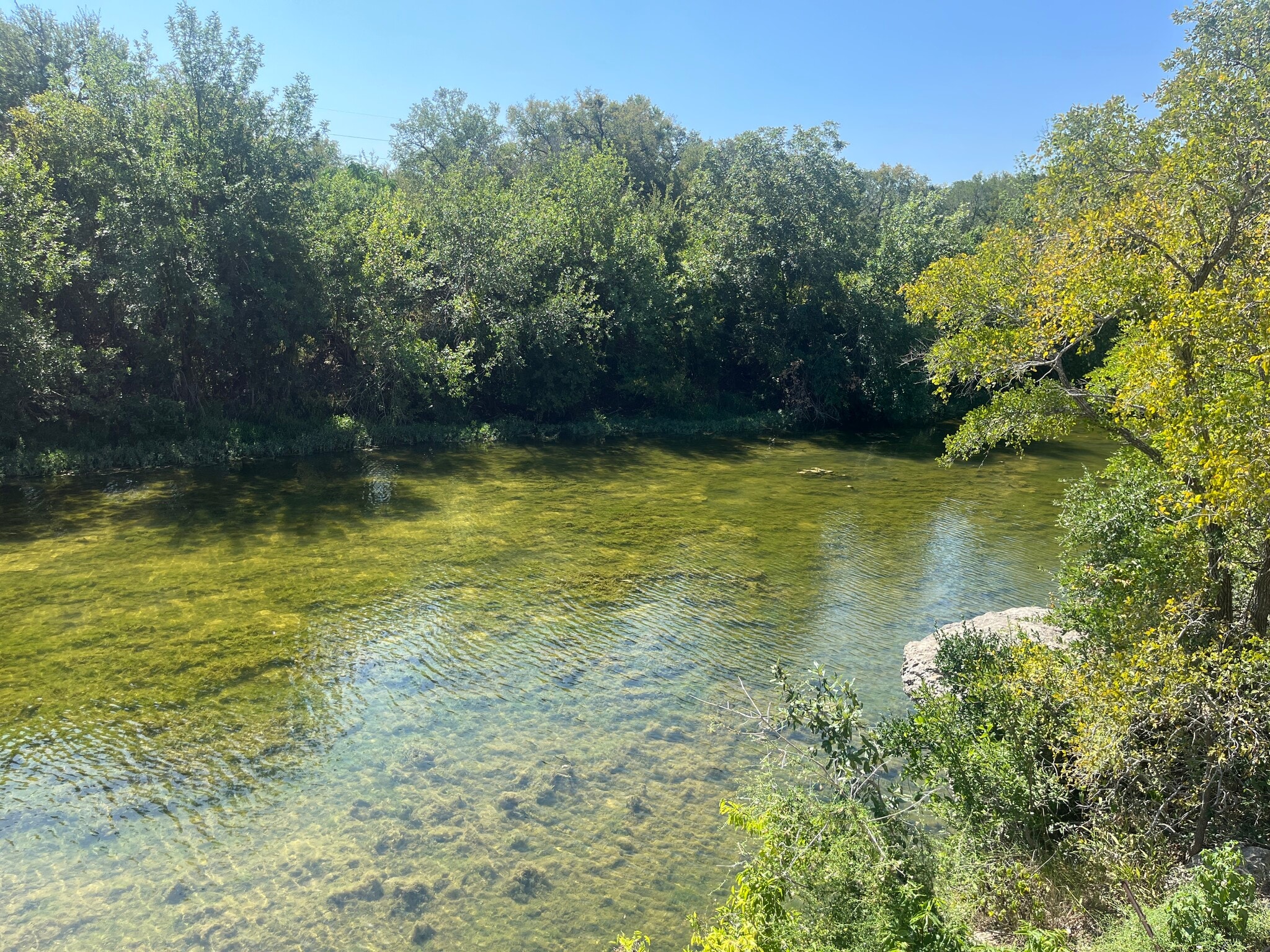 591 Farm to Market Road 967 #300, Buda, TX for Sale