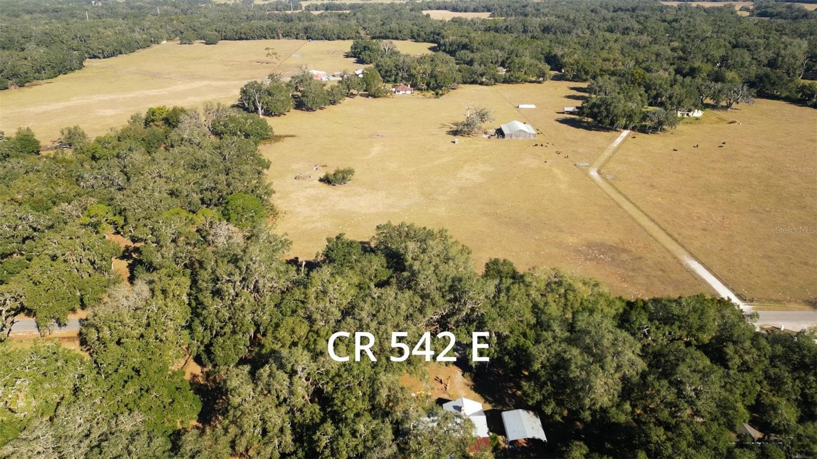 CR 542E, Bushnell, FL for Sale