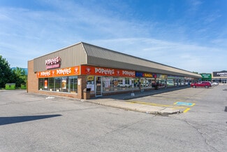 Cambridge, ON Retail - 480 Hespeler Rd