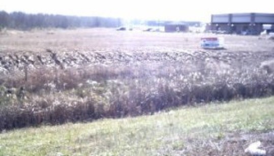 Main St, Carbondale, IL for Sale