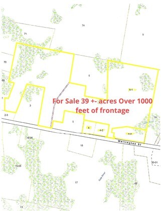 Dighton, MA Residential Land - 1852 Wellington St