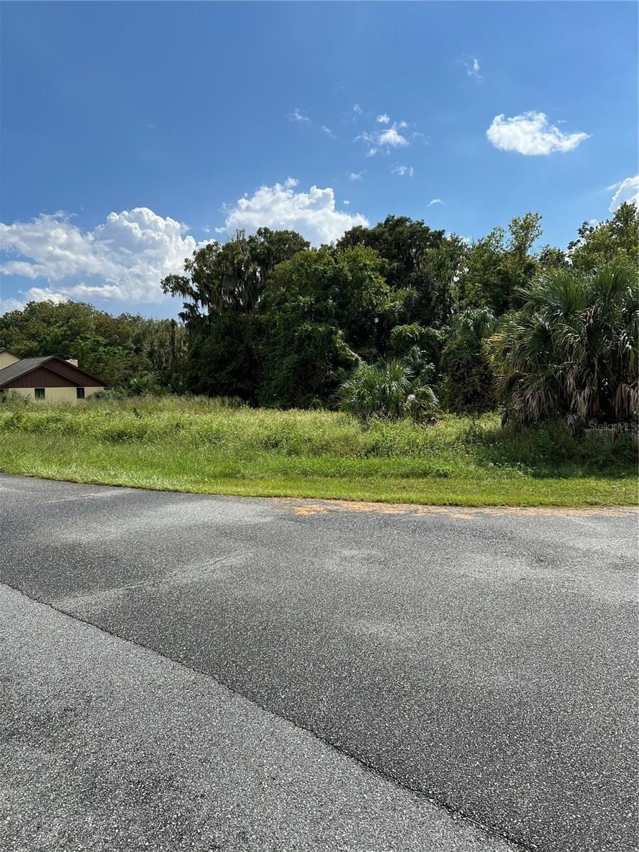 Redtree Dr @ Frog Log Ln, Leesburg, FL for Sale