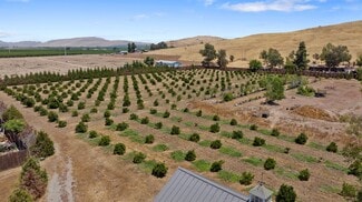 Visalia, CA Agricultural - 31946 Road 168