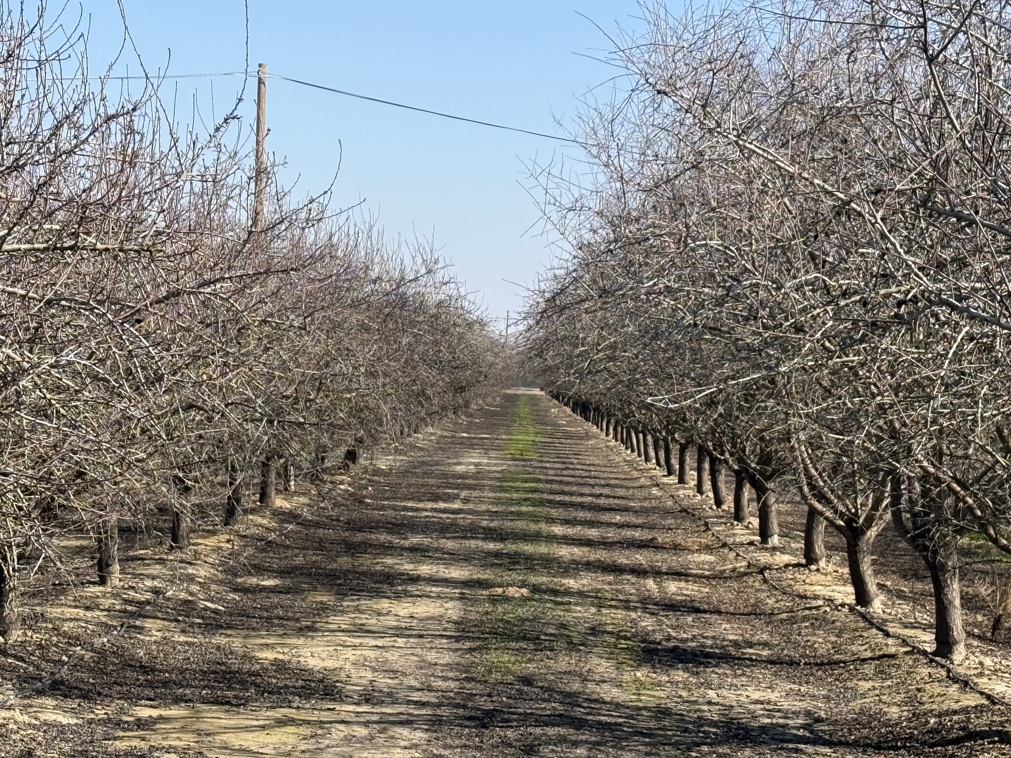 East Nebraska Avenue, Selma, CA for Sale