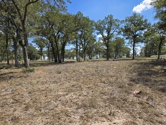 Bastrop, TX Commercial - 0 SH 304