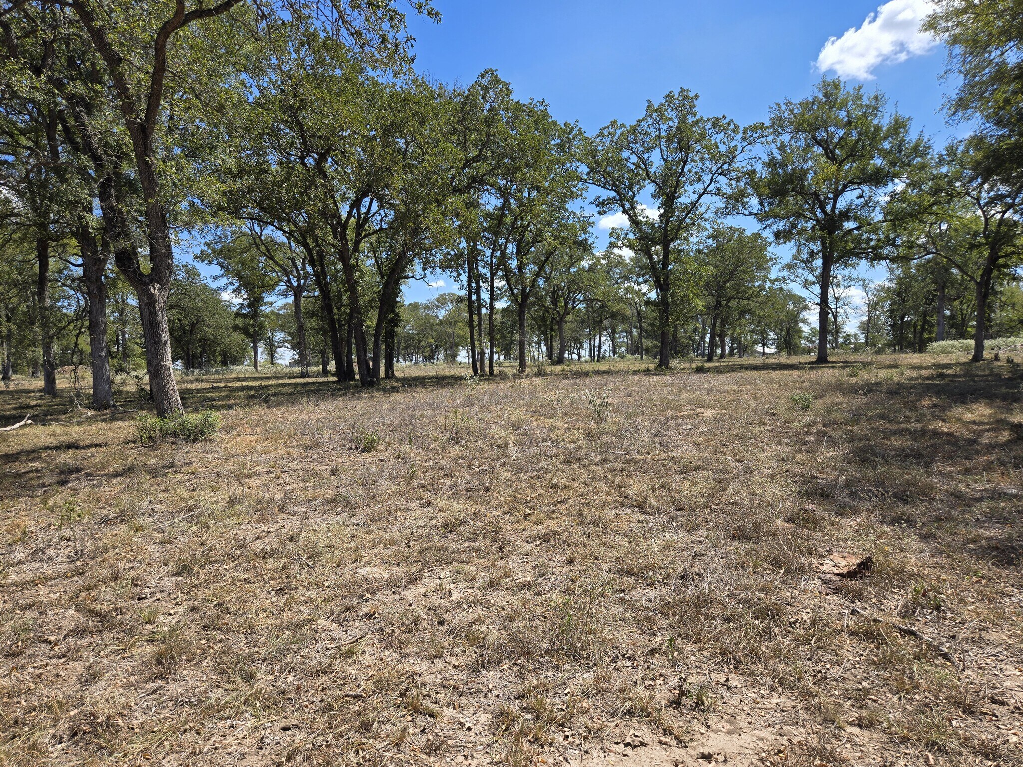 0 SH 304, Bastrop, TX for Sale