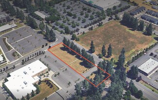 Vancouver, WA Commercial Land - NE 9th Ave @ 136th Ave