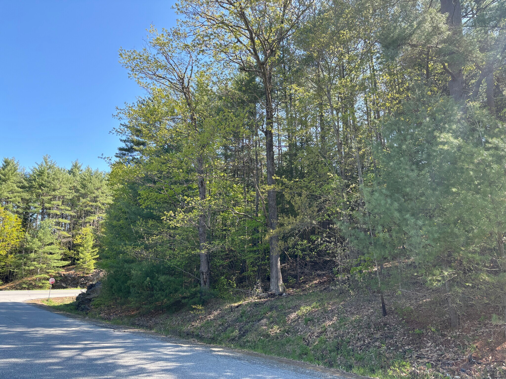 0 E Putney Falls Rd, Chester, VT for Sale