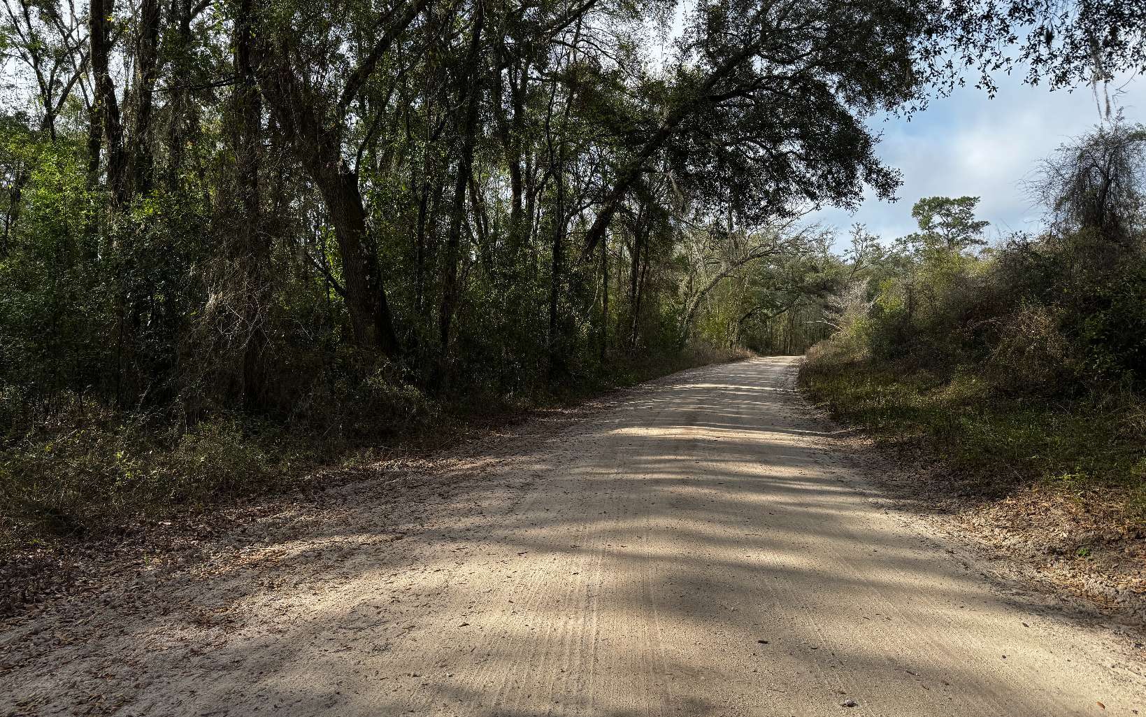 TBD 59th Dr, Wellborn, FL for Sale