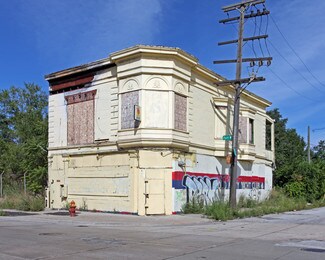 Detroit, MI undefined - 4246 W Fort St